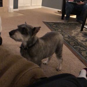 Meet your Posher, Donna